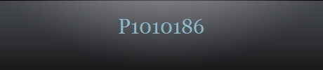 P1010186