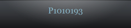 P1010193
