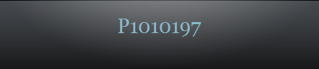 P1010197